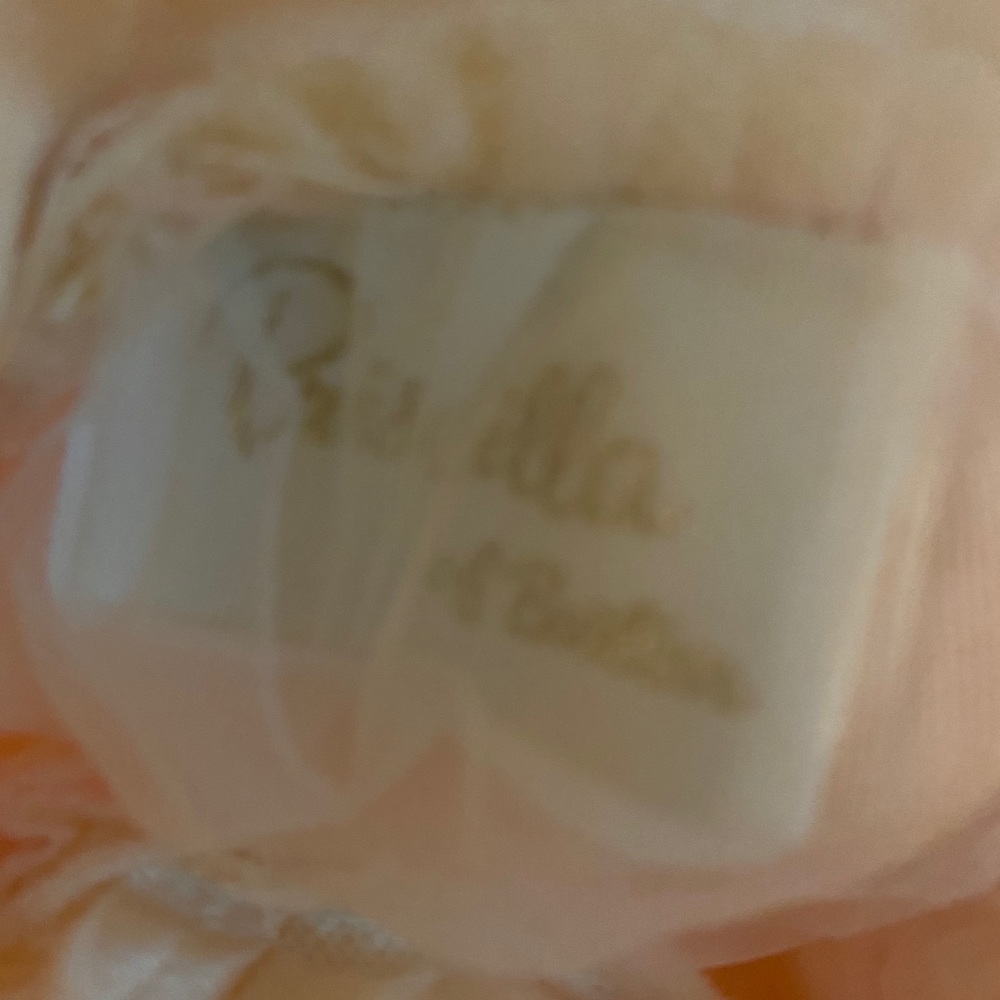 Priscilla of Boston Wedding Gown - Picture 2 of 12